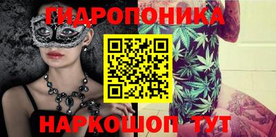 прущие крисы Бийск