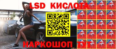 прущие крисы Бийск