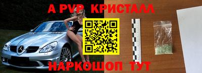 прущие крисы Бийск