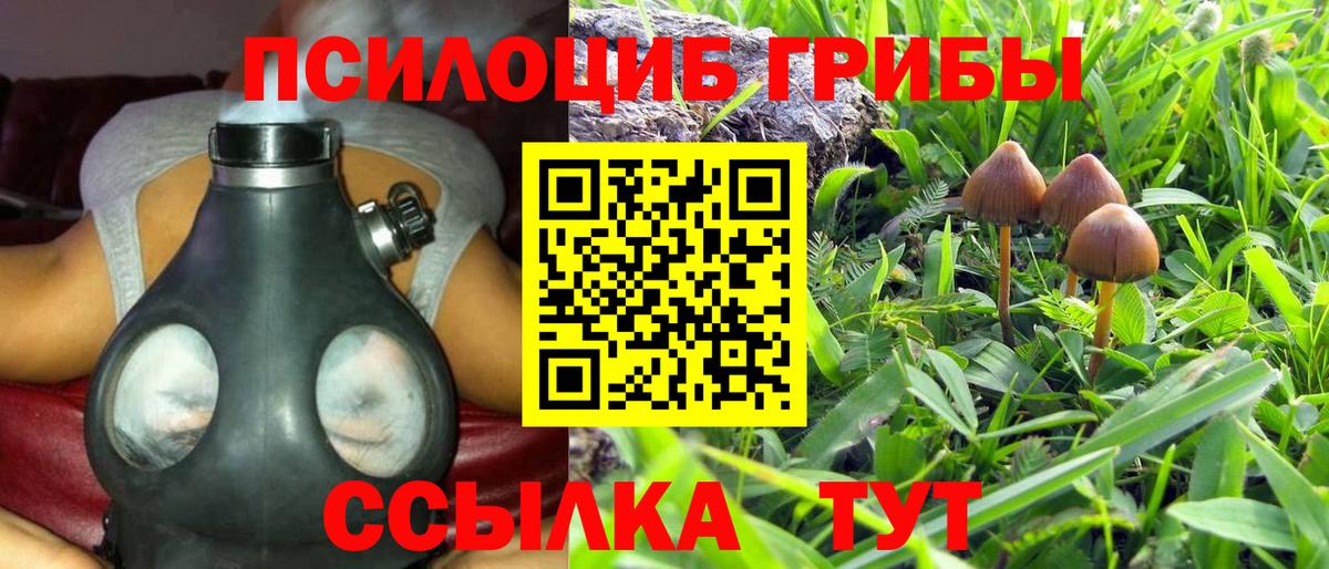 Псилоцибиновые грибы Psilocybine cubensis  Вход с VPN  Волжск 